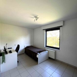 Appartement à louer 5