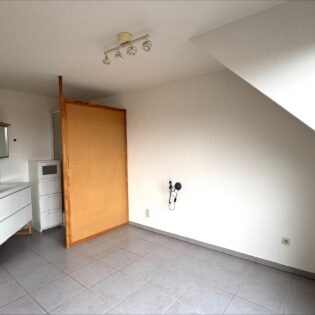 Appartement à louer 7